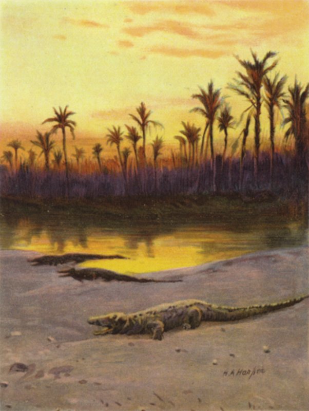 Yukarı Nil kıyısında timsah (gün batımı) (renkli taş) by James (after) Clark