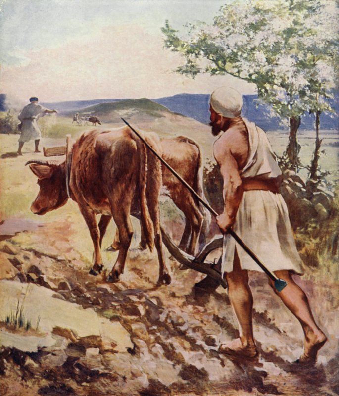 Nasıra yakınlarında çiftçilik by James Clark