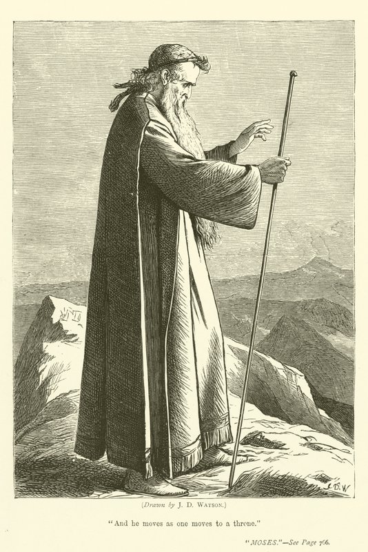Musa by James Dawson Watson