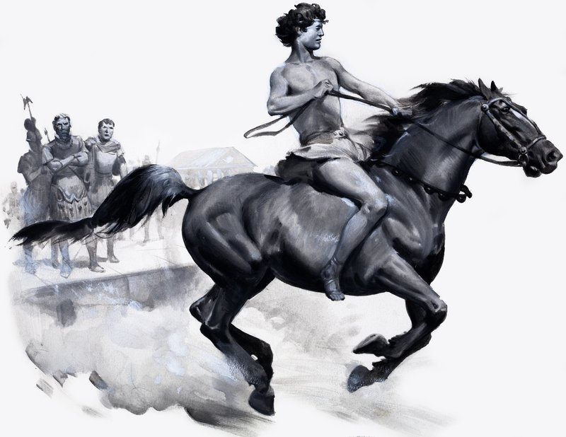 Bucephalus