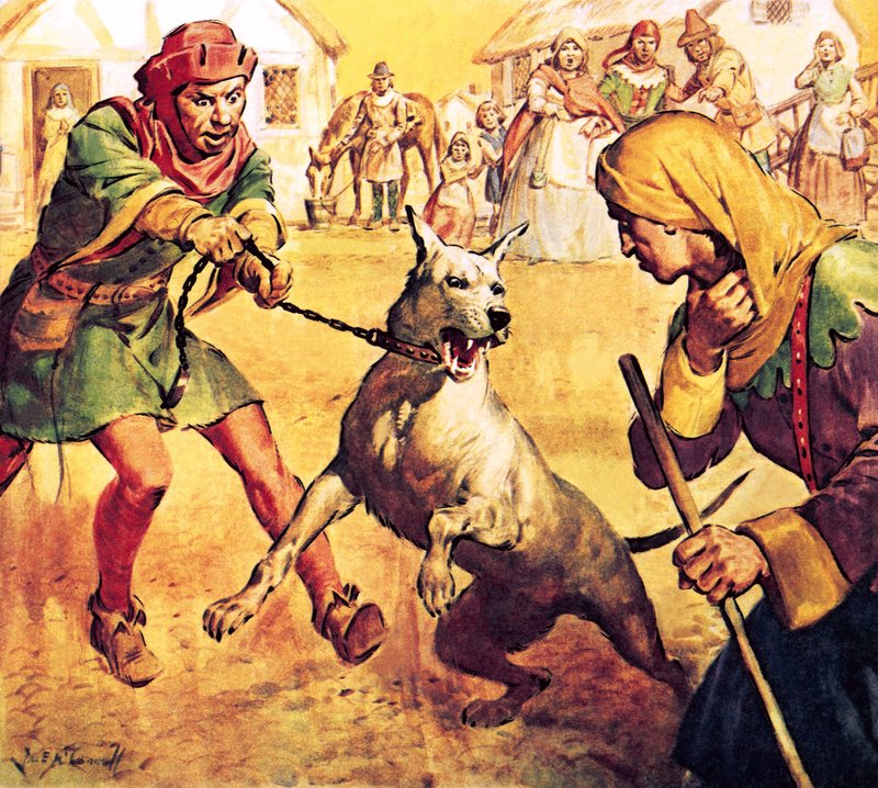 Ejderhanın İntikamı by James Edwin McConnell