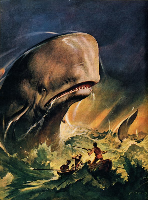 Moby Dick (renkli litografi) by James Edwin McConnell