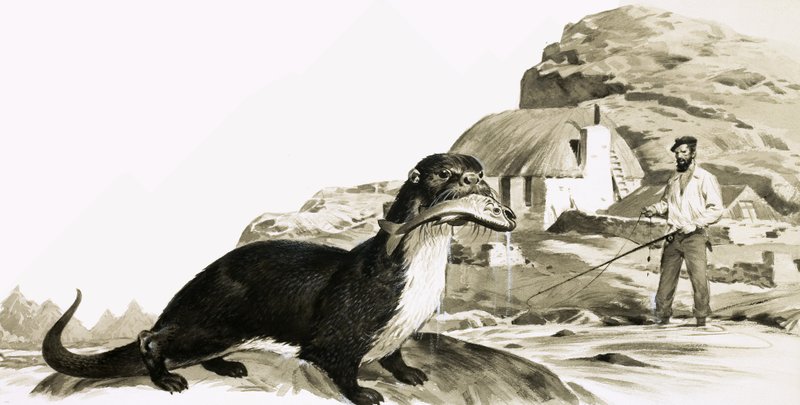  by James Edwin McConnell