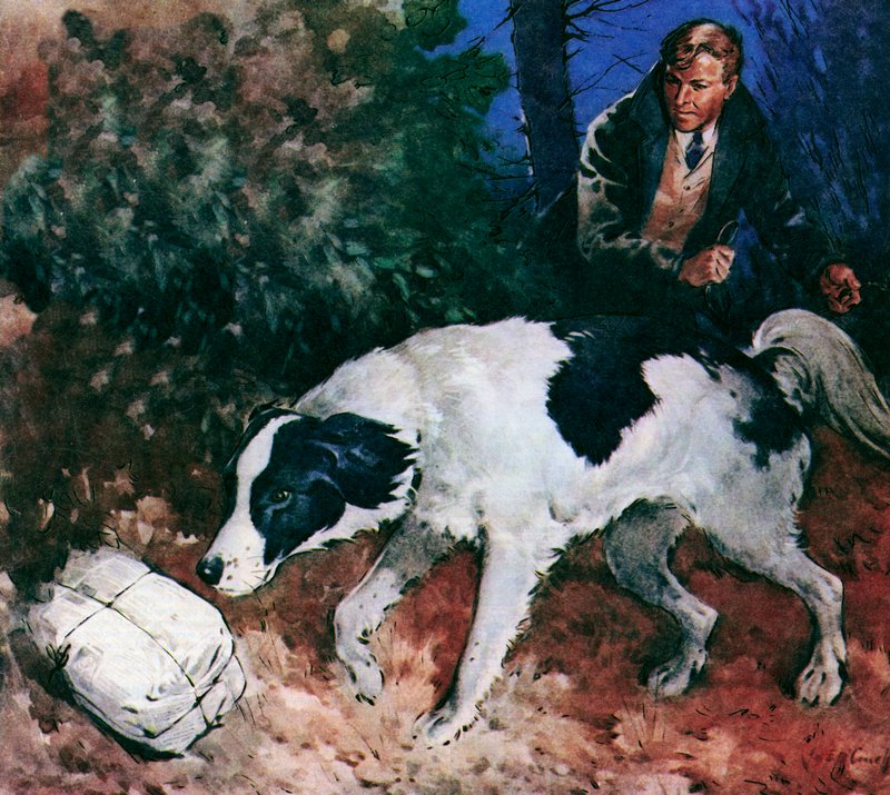  by James Edwin McConnell