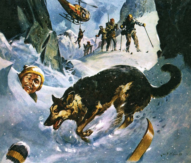Karda Kurtarma by James Edwin McConnell