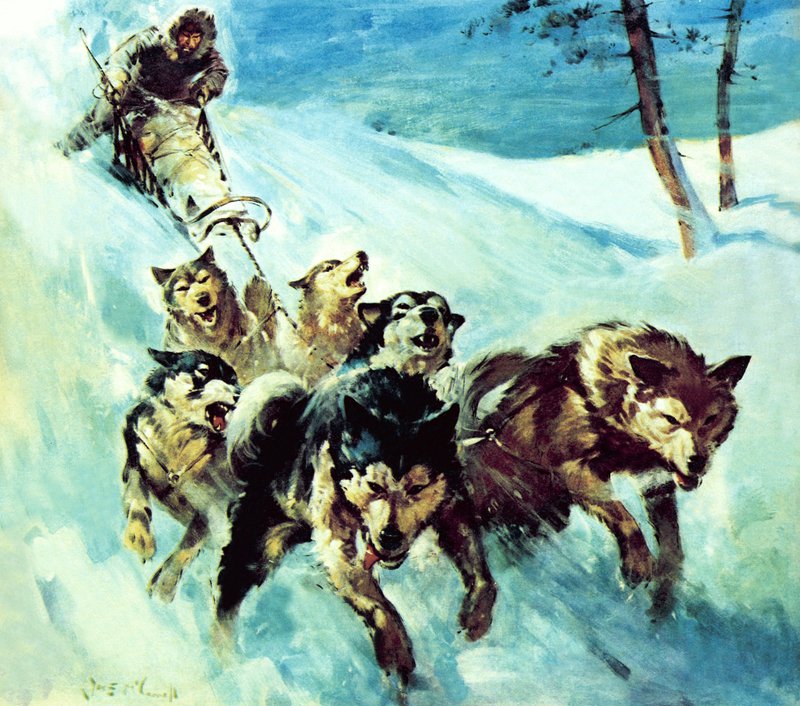 Kanadalı Husky by James Edwin McConnell