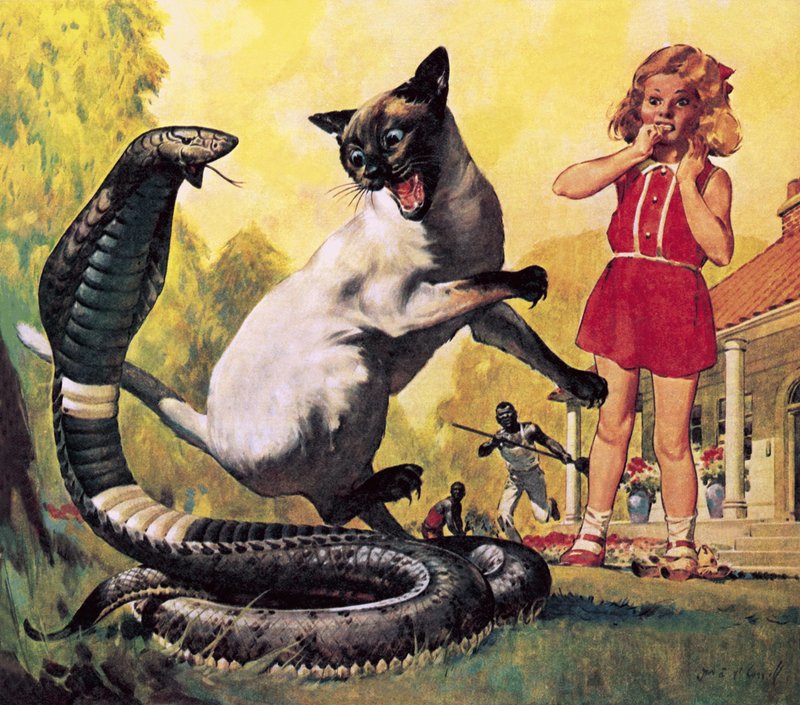 Cesur Kedi by James Edwin McConnell