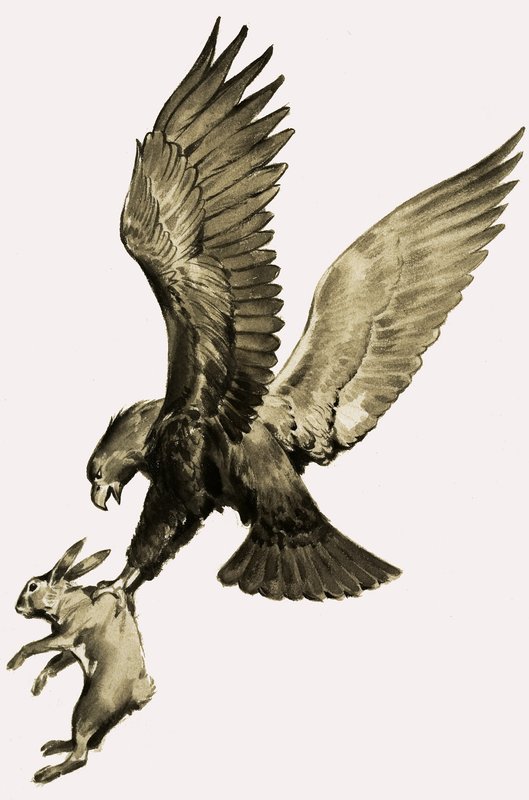 Kartal ve Tavşan, Ezop