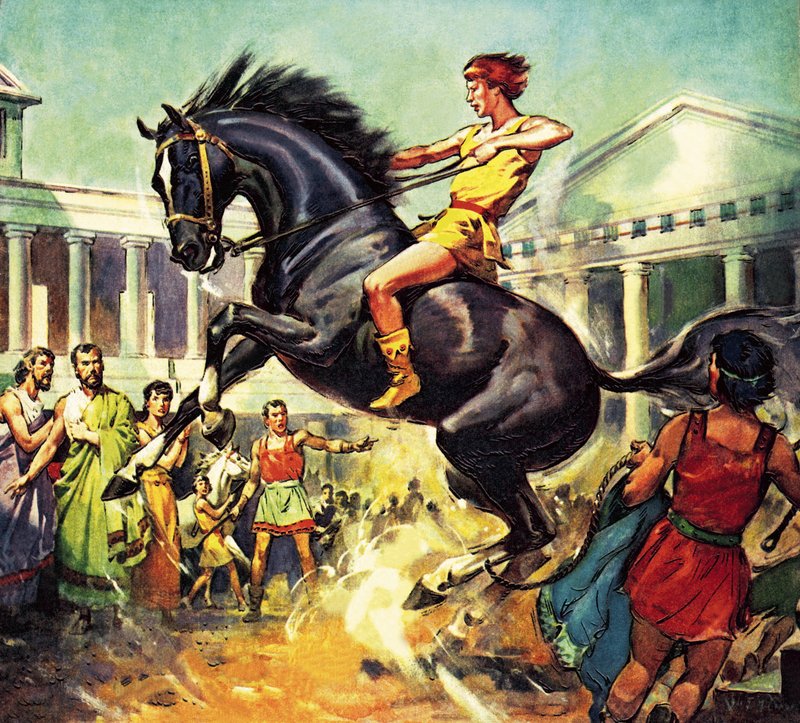 Bucephalus