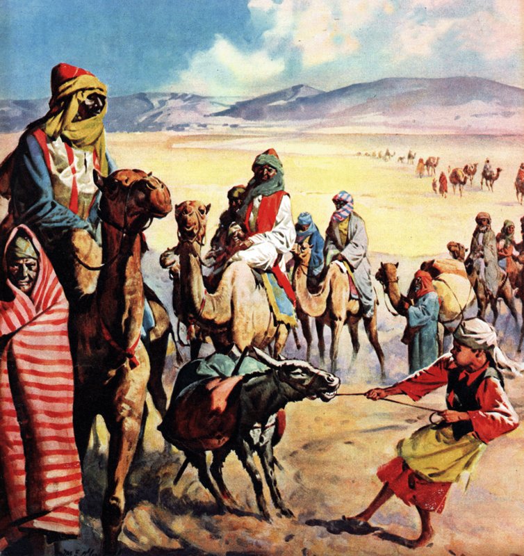 Kutsal Kitap Topraklarının Gezginleri by James Edwin McConnell