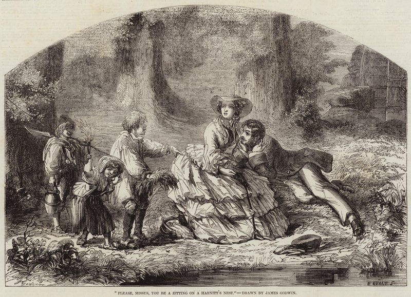 Lütfen hanımefendi, Harnitt's Nest'te Zitting olun by James Godwin