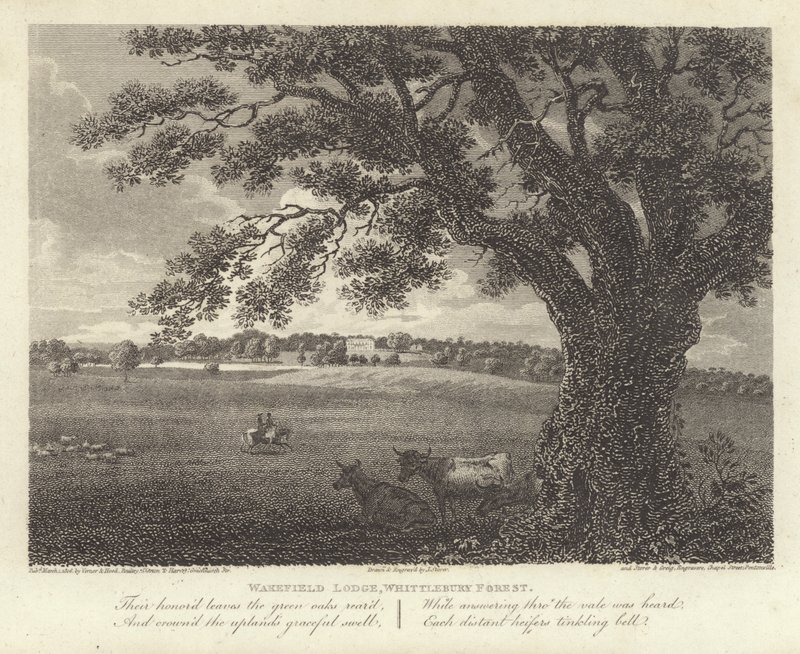 Robert Bloomfield, şair: Wakefield Lodge, Whittlebury Ormanı (gravür) by James Storer