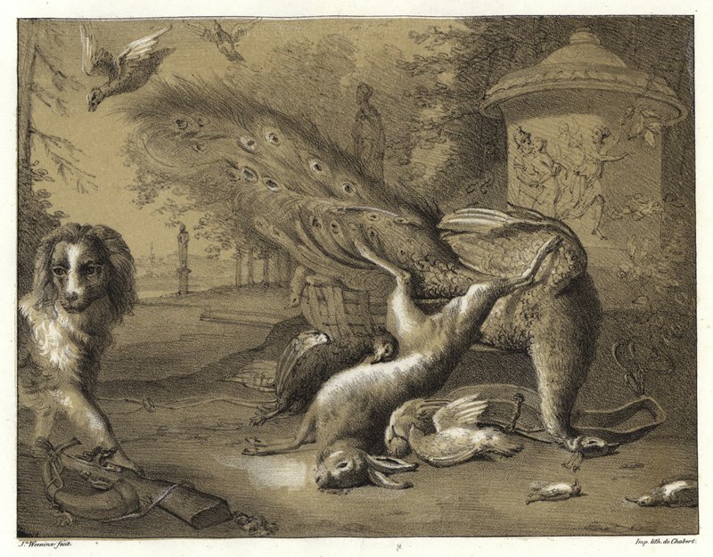 Still Life with a Peacock and a Dog  by Jan Baptist Weenix