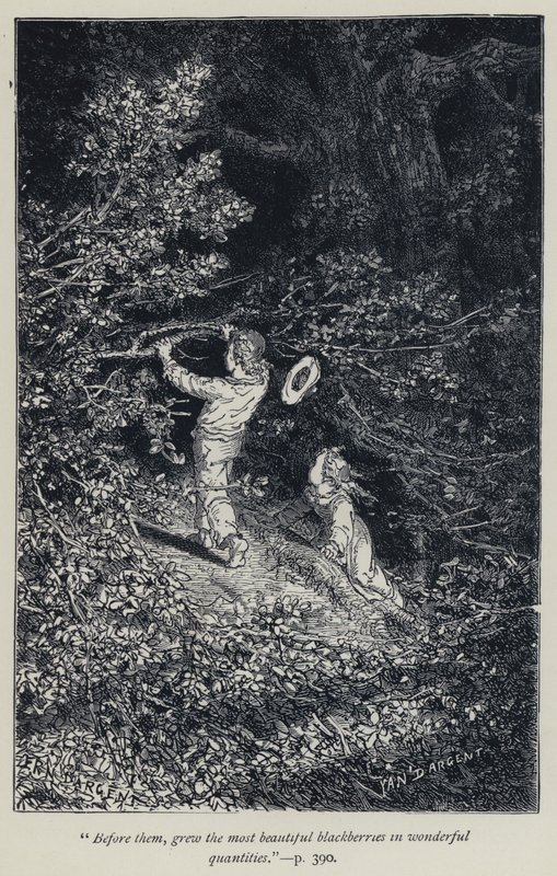 "Onlardan önce, harika miktarlarda en güzel böğürtlenler yetiştirildi" (gravür) by Jean Edouard Dargent
