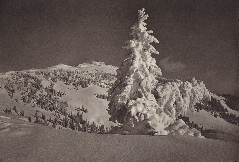 Rigi Kaltabad, Skigelande bis Rigi Kulam (S/B Fotoğraf) by Jean Gaberell