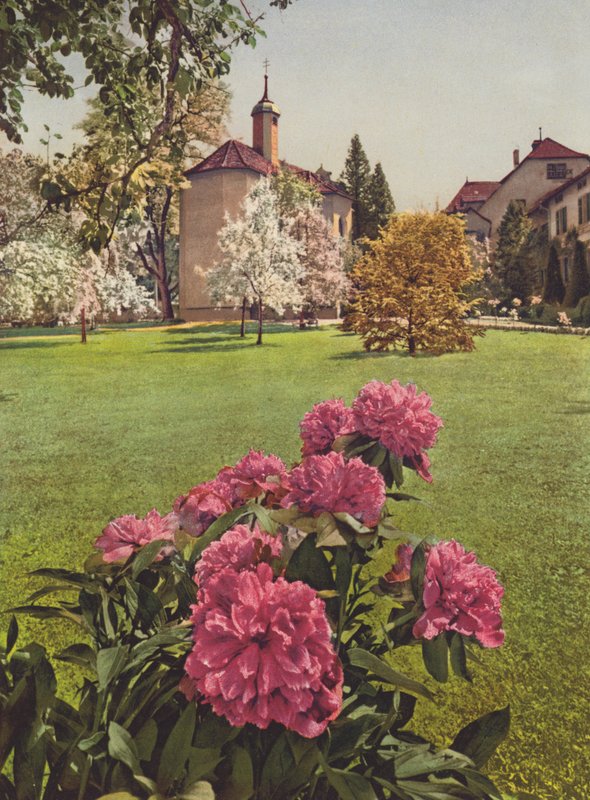 İsviçre: Konstanz Gölü