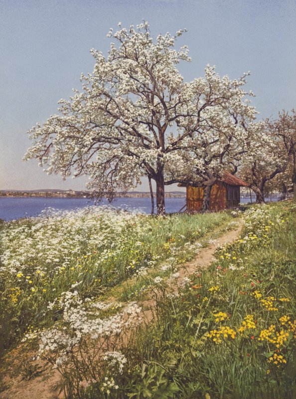 İsviçre: Mayıs-Zaman (renkli fotoğraf) by Jean Gaberell