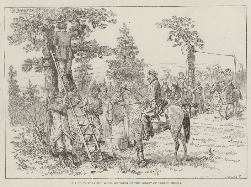 Rusya, Lublin Ormanındaki Ağaçlara Telgraf Tellerini Sabitleme by Johann Nepomuk Schonberg