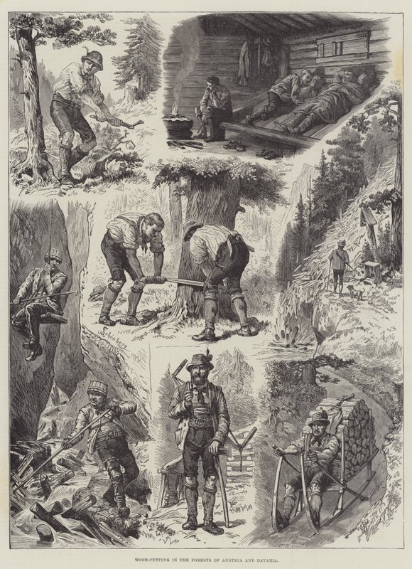 Avusturya ve Bavyera Ormanlarında Ağaç Kesimi by Johann Nepomuk Schonberg