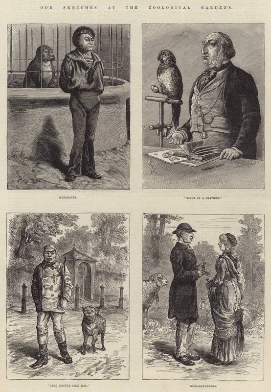 Hayvanat Bahçelerinde Tuhaf Eskizler by Johann Nepomuk Schonberg