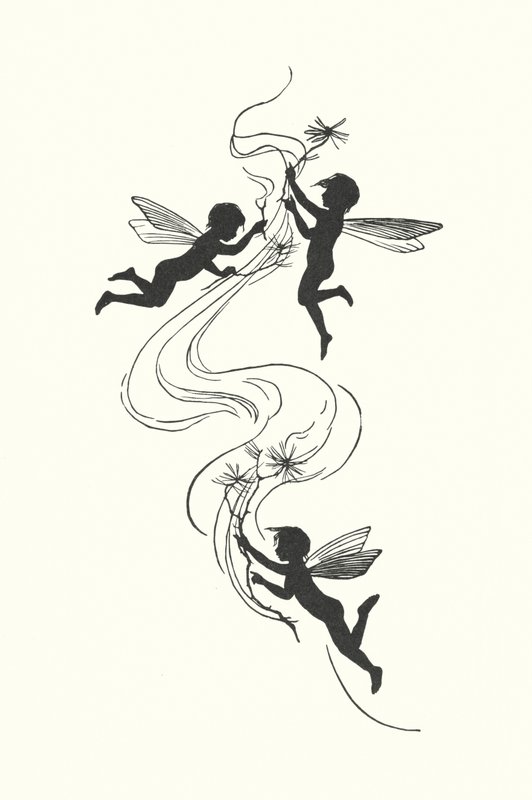  by Johanna Beckmann