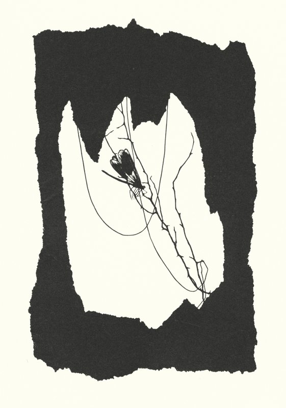  by Johanna Beckmann