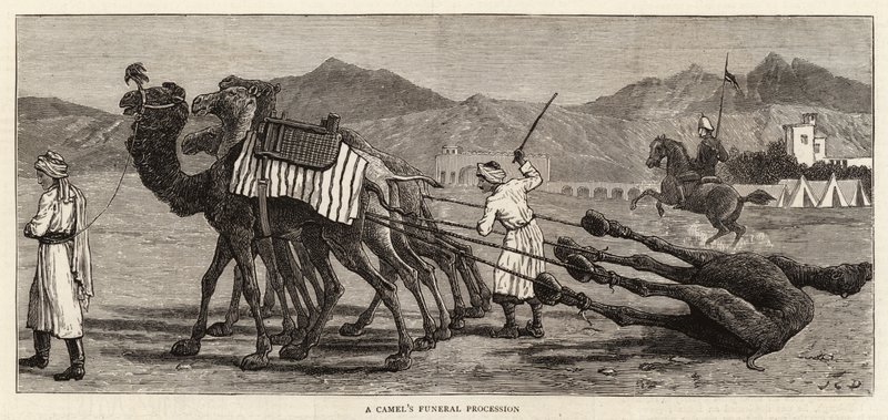 ಒಂಟೆಯ ಅಂತ್ಯಕ್ರಿಯೆಯ ಮೆರವಣಿಗೆ ಟರ್ಕಿ by John Charles Dollman