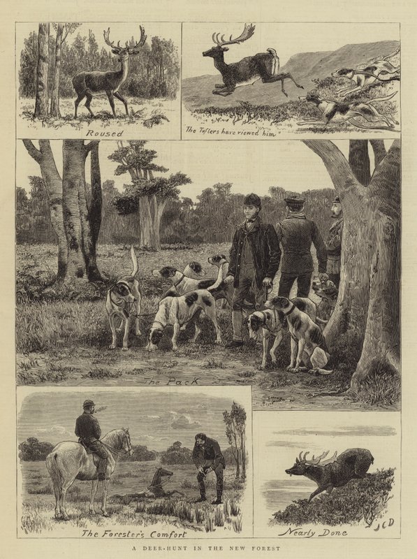 Yeni Ormanda Bir Geyik Avı by John Charles Dollman