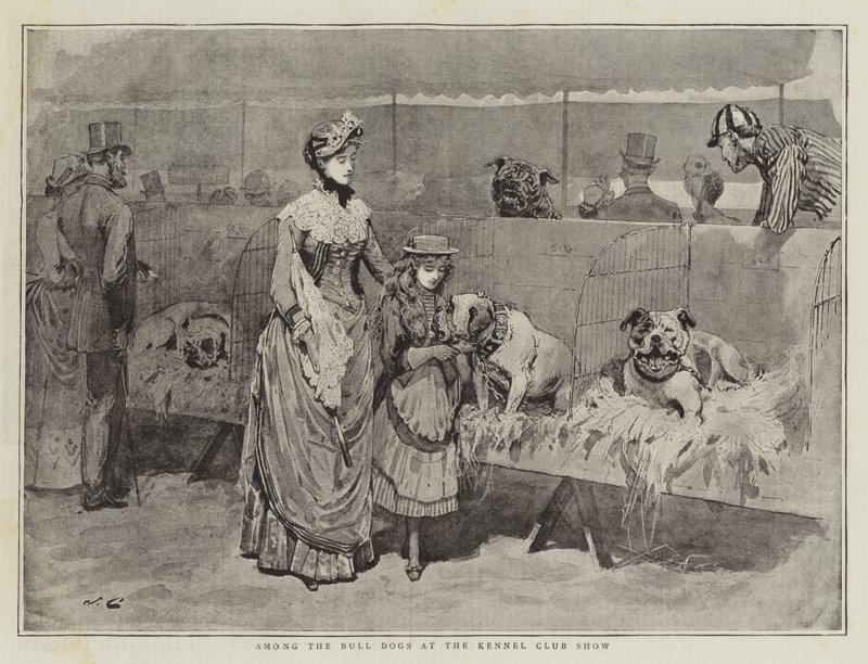 Kennel Club Show
