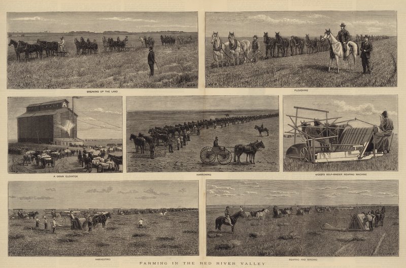 ಕೆಂಪು ನದಿ ಕಣಿವೆ ಟರ್ಕಿಯಲ್ಲಿ ಕೃಷಿ by John Charles Dollman