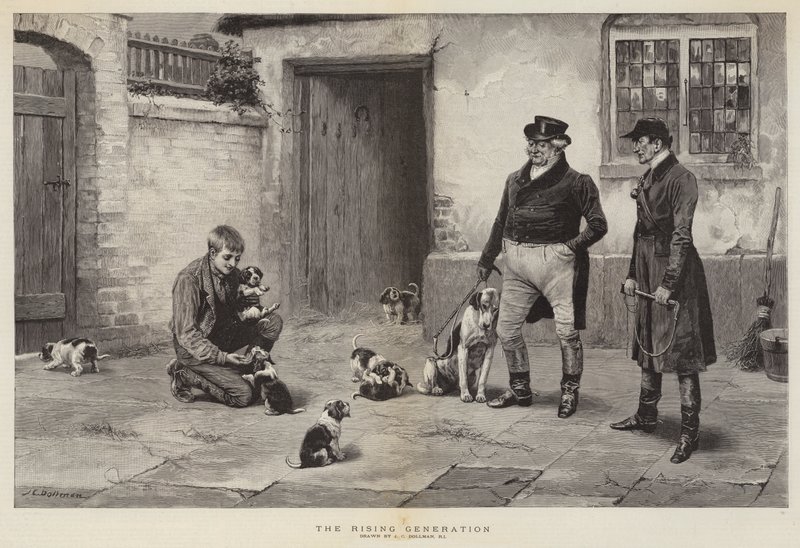 ರೈಸಿಂಗ್ ಜನರೇಷನ್ ಟರ್ಕಿ by John Charles Dollman