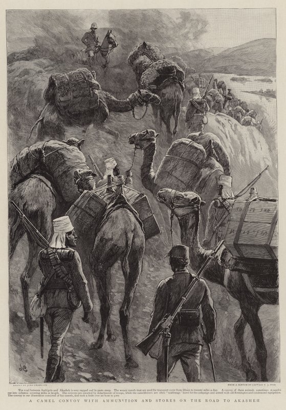 Akasheh Yolunda Mühimmatlı ve Depolu Bir Deve Konvoyu by John Charlton