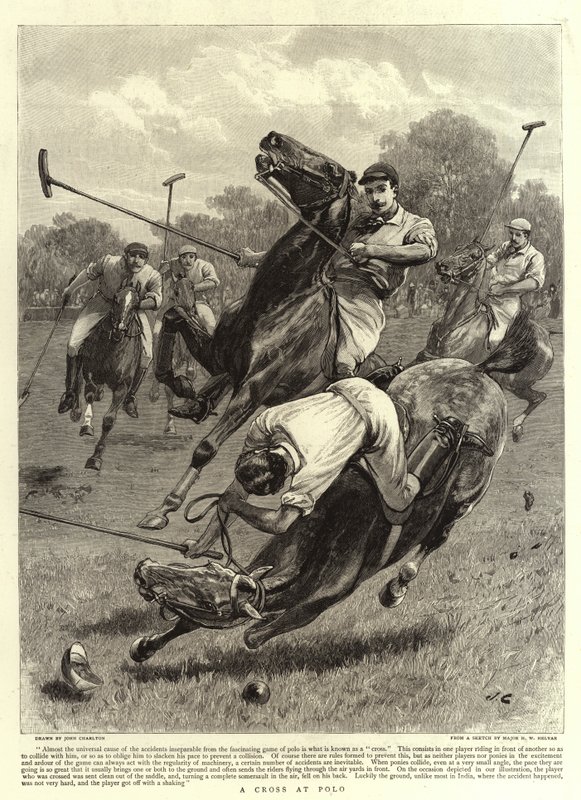 Polo