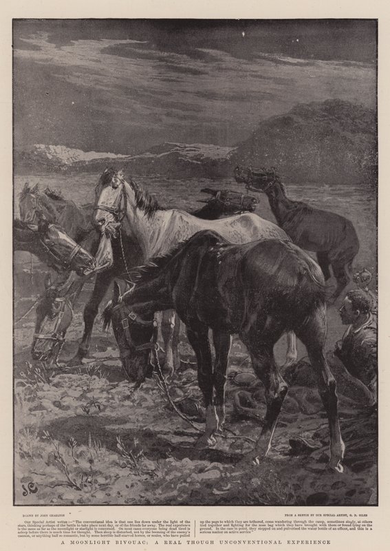 Ayışığı Bivouac, Gerçek Olsa da Alışılmadık Bir Deneyim by John Charlton
