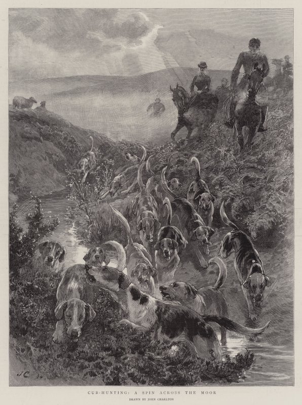 Yavru Avı, Moor