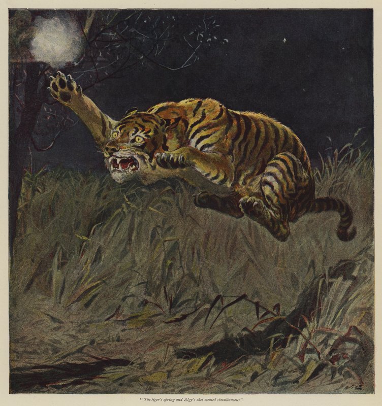 Hür İrade Teklifi için İllüstrasyon, B M Corker by John Charlton