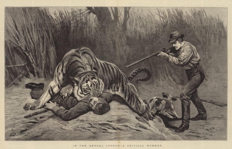 Bengal Ormanında Kritik Bir An by John Charlton