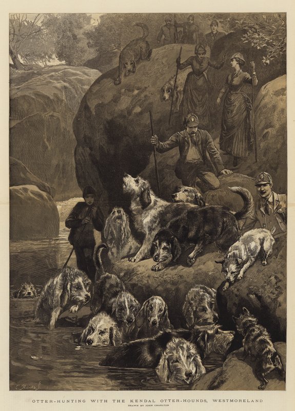 Kendal Otter-Hounds, Westmoreland ile Otter-Avlanma by John Charlton