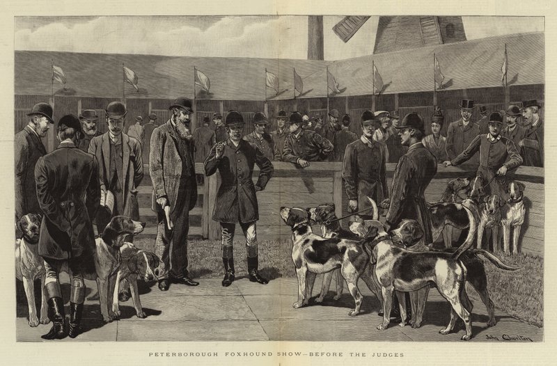 Peterborough Foxhound Gösterisi, Jürilerden Önce by John Charlton