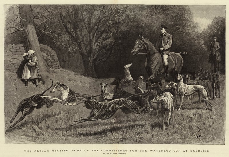 Altcar Toplantısı, Egzersizde Waterloo Kupası için Rakiplerden Bazıları by John Charlton