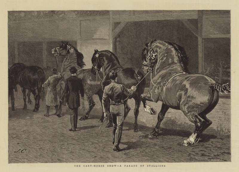 Araba-At Gösterisi, Aygırların Geçit Töreni by John Charlton