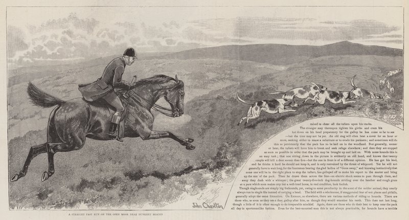 Exmoor'da Yabani Kızıl Geyiğin Kovalanması by John Charlton