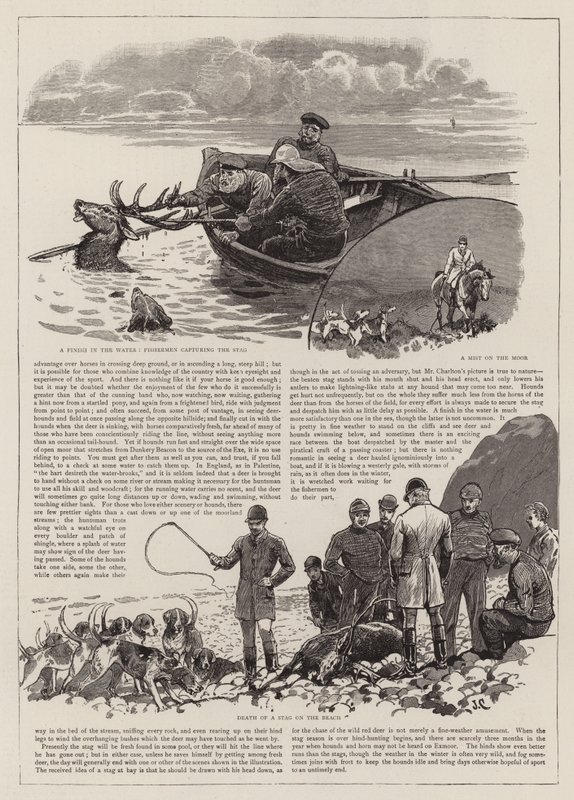 Exmoor