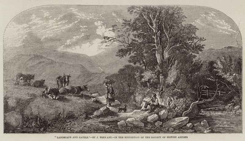 Peyzaj ve Sığır by John F. Tennant