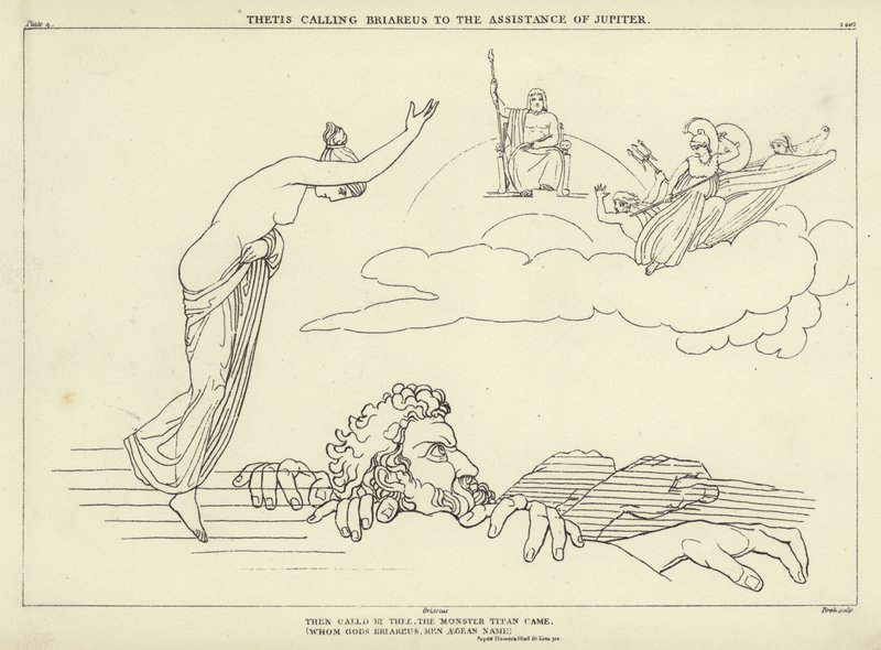 Thetis Briareus