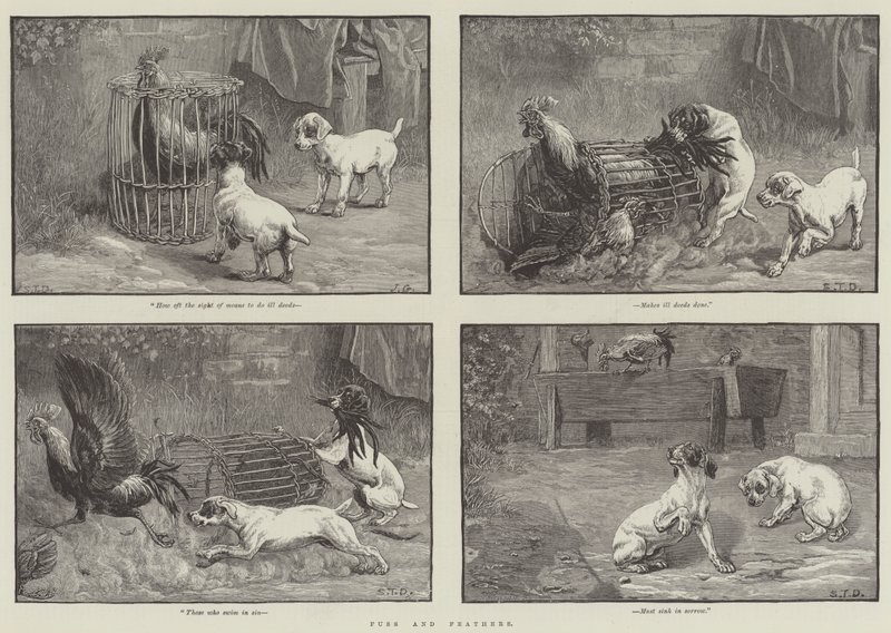 Yaygara ve Tüyler by John Gilbert