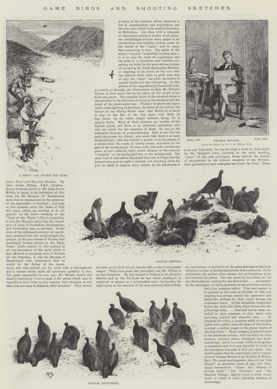 Av Kuşları ve Atış Skeçleri by John Guille Millais