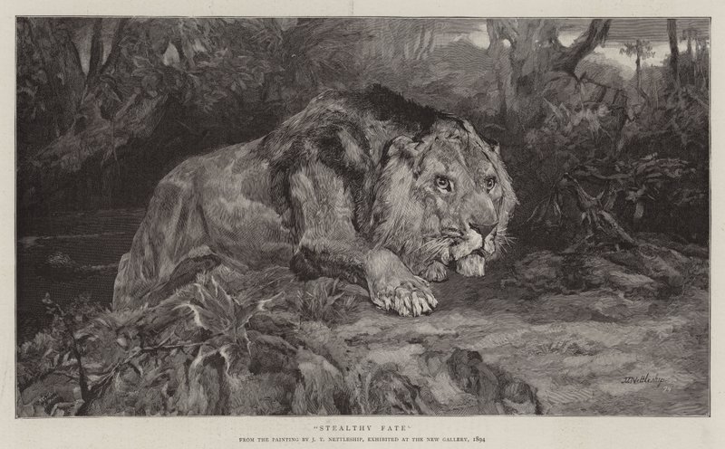 gizli kader by John Trivett Nettleship