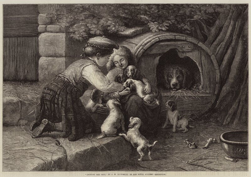 Evcil Hayvanlar Arasında by John William Bottomley