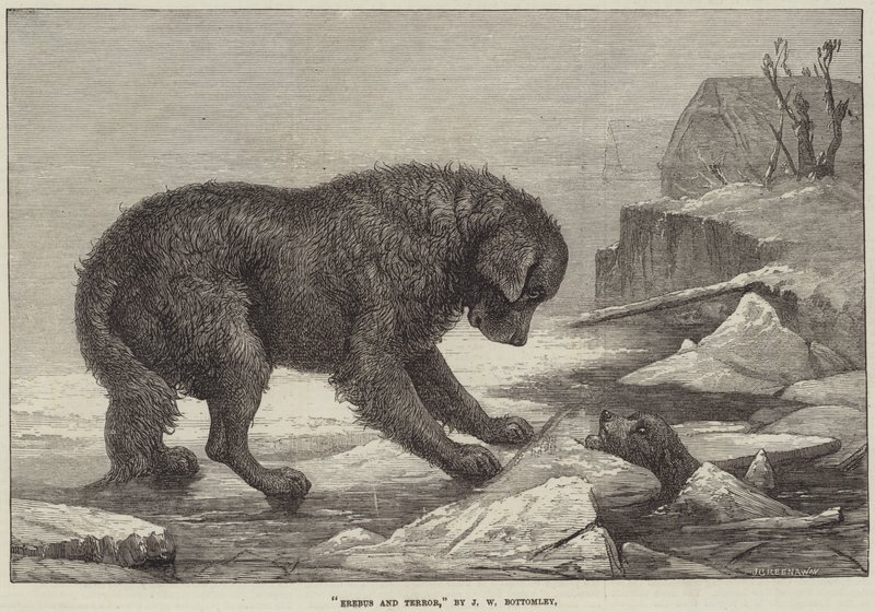 Erebus ve Terör by John William Bottomley
